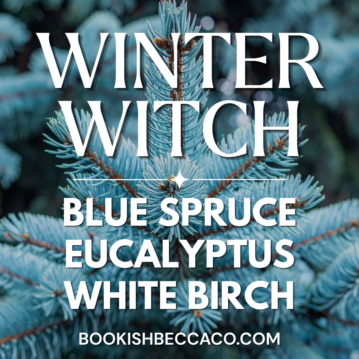 Winter Witch Fragrance
