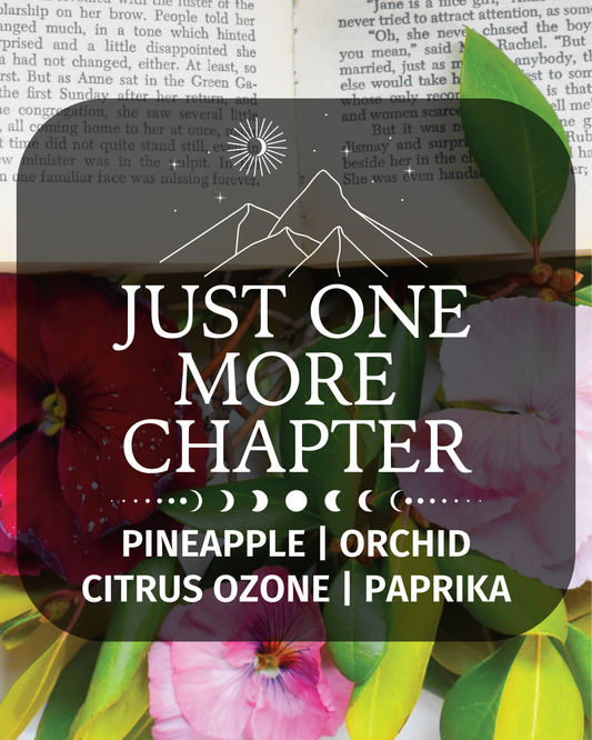 Just One More Chapter Fragrance